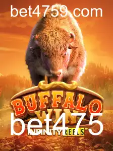 Descubra o Fascinante Mundo de BuffaloWin
